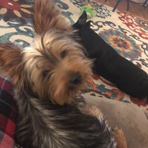 Meet your Posher, Katie